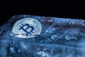Bear-Proofing Your Brand: Leveraging PR Strategies to Adapt and Outlast the Crypto Winter